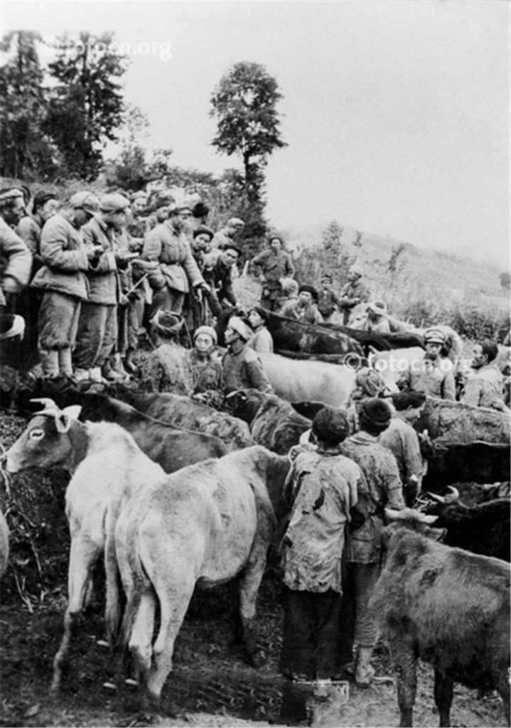 1950年解放正安等老照片插图3