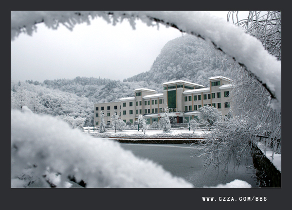 瑞雪兆丰年(2008年)插图3
