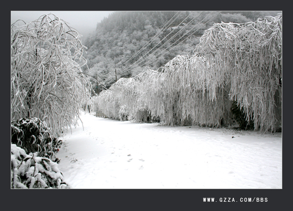 瑞雪兆丰年(2008年)插图7