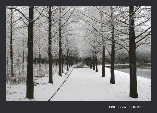 瑞雪兆丰年(2008年)插图8