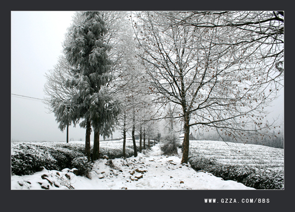 瑞雪兆丰年(2008年)插图1