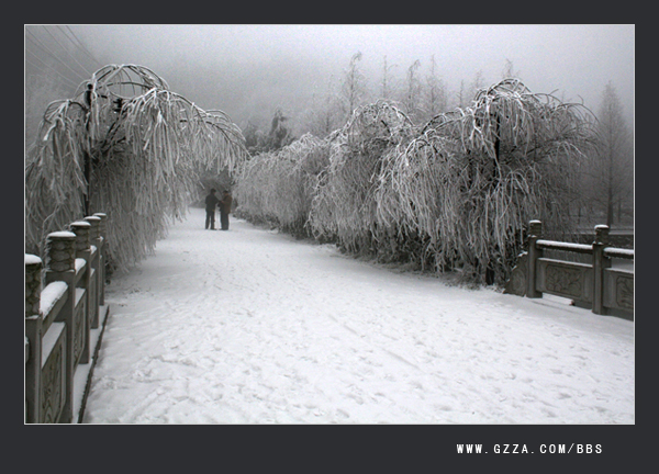 瑞雪兆丰年(2008年)插图6