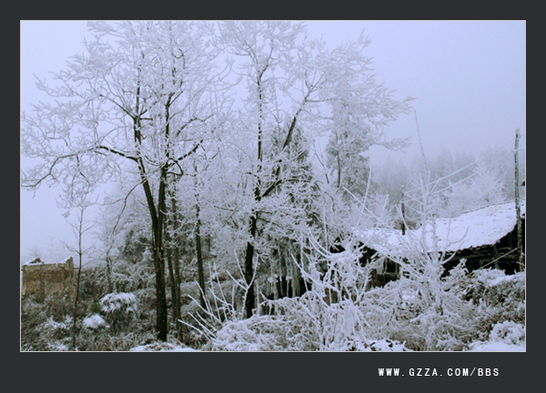瑞雪兆丰年(2008年)插图2