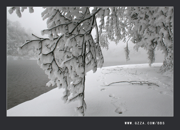 瑞雪兆丰年(2008年)插图4