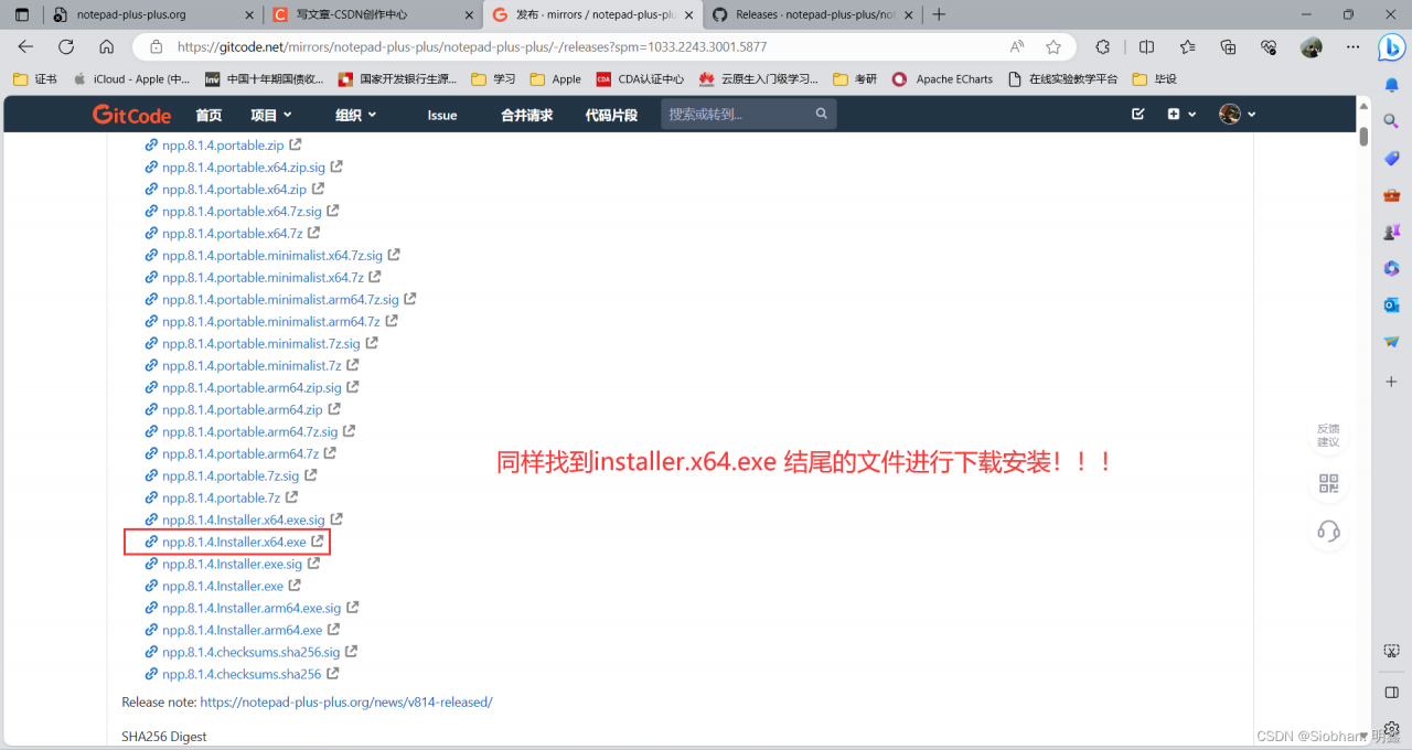 Notepad++ 的安装及配置（配置java运行环境）插图24