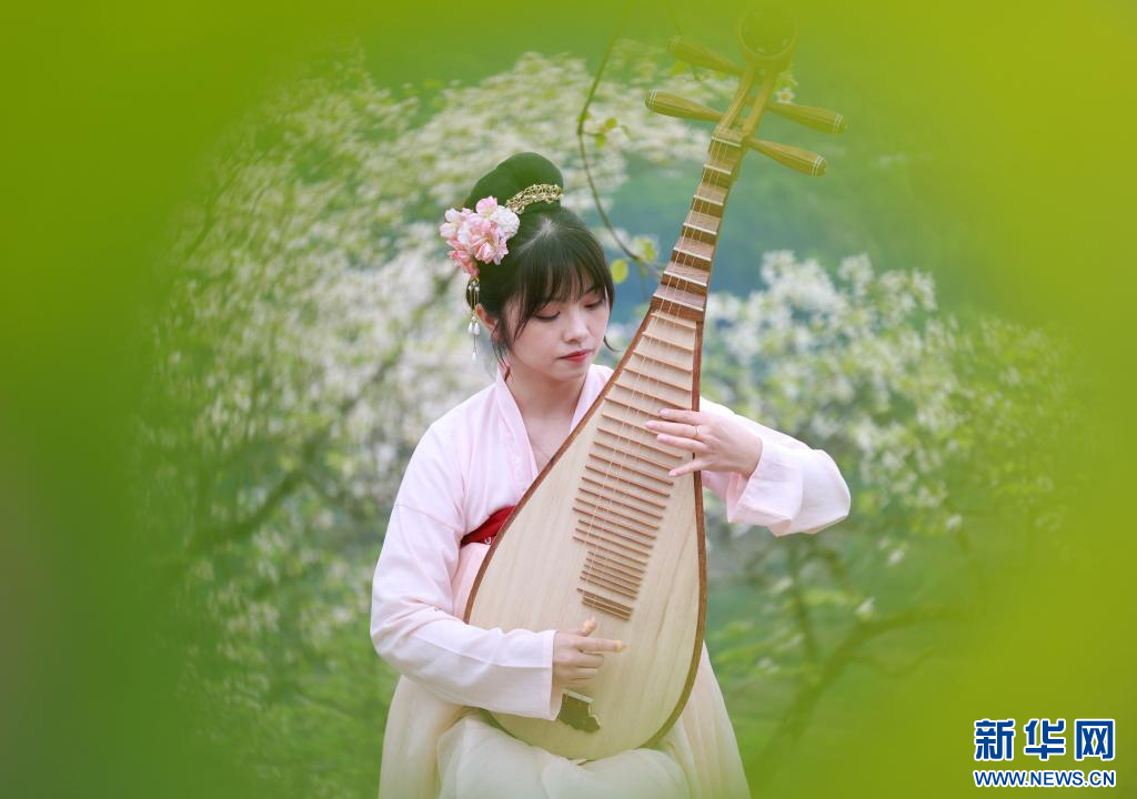 贵州正安：油桐花盛开引客来插图1