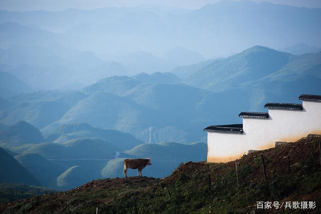 走近黔北：天楼山，野花满坡的正安第一雄山插图8