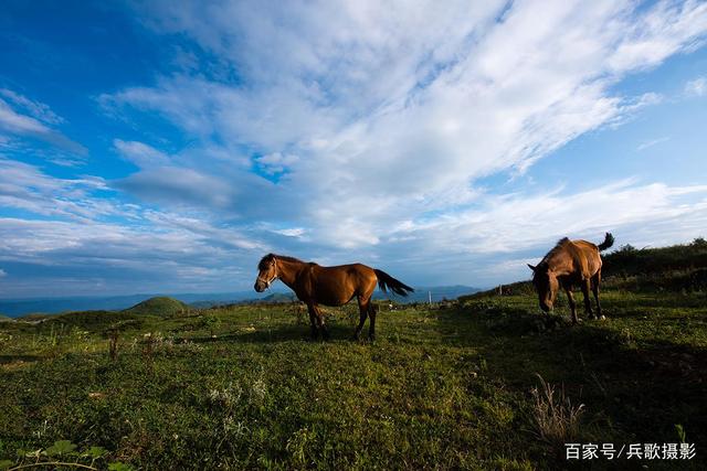 走近黔北：天楼山，野花满坡的正安第一雄山插图9
