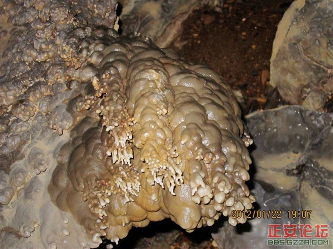 小雅工农的洞沟河插图4