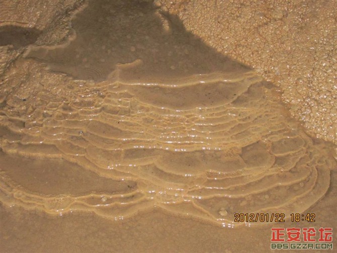 小雅工农的洞沟河插图7