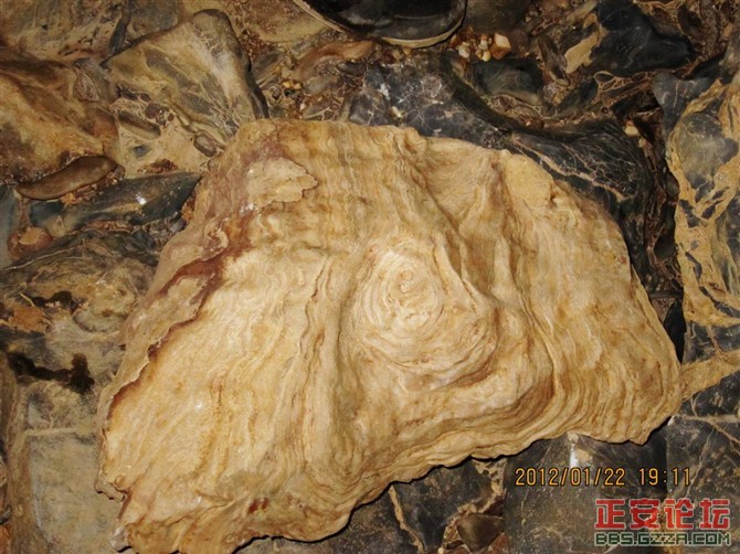 小雅工农的洞沟河插图9