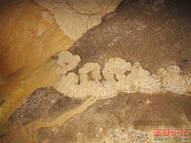 小雅工农的洞沟河插图20