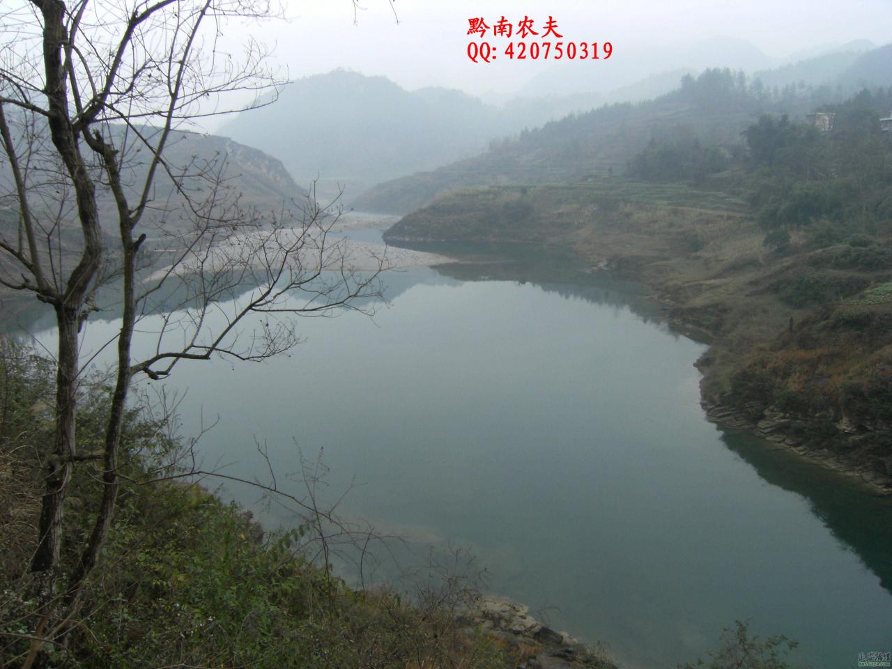 格林风光——渔塘插图1