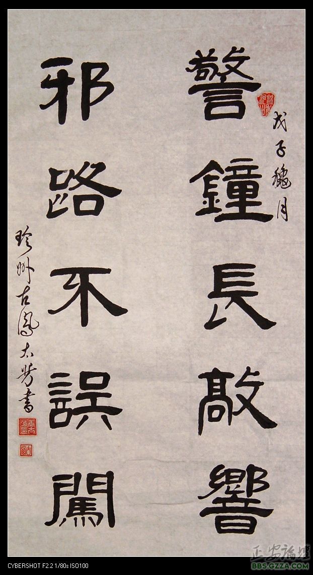 DSC08478.jpg