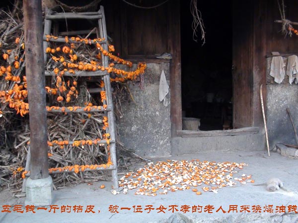 我自己的“走遍正安”13期插图9