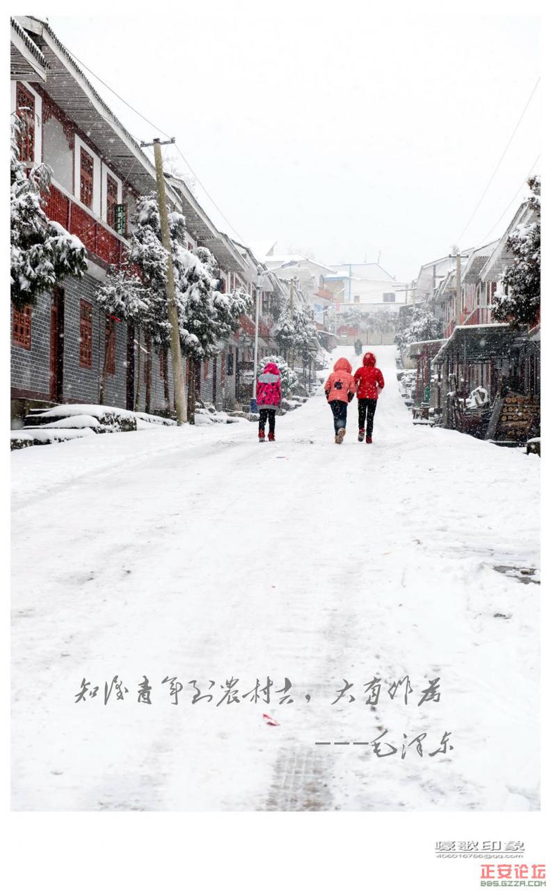 我们要回家：残存的知青部落插图25