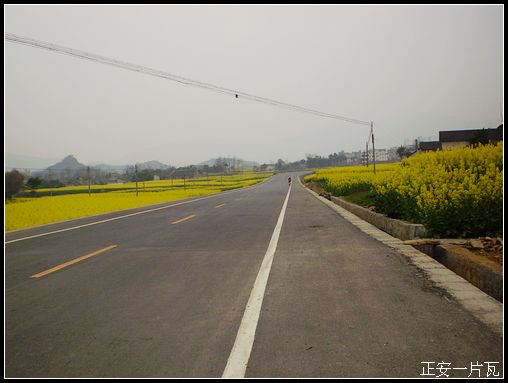 骑行道真（多图）插图39