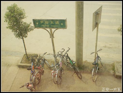 骑行道真（多图）插图26