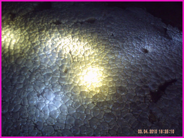 PICT0113.JPG