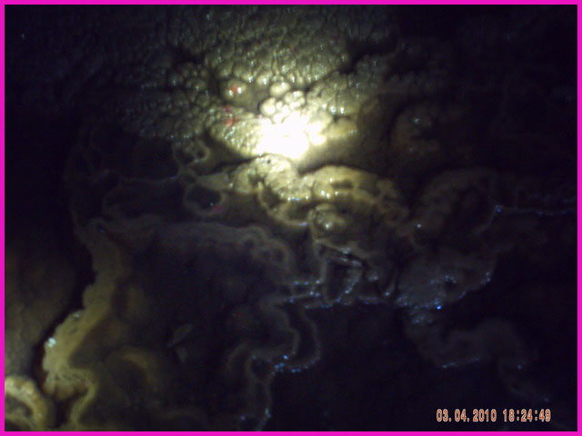 PICT0112.JPG