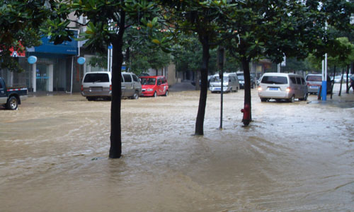 暴雨淹没正安西门开发区大街插图2