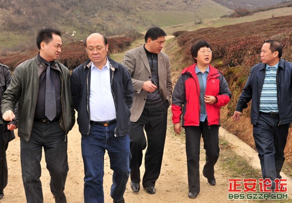抓好抓实解决老知青住房困难的民生工程插图4