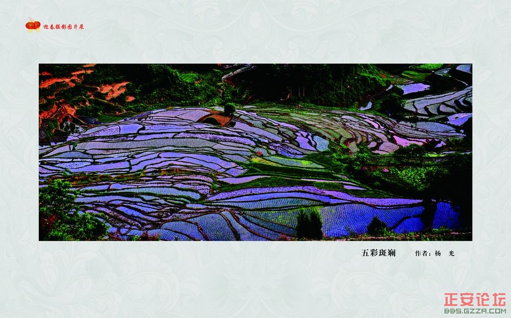 迎春摄影图片展插图34