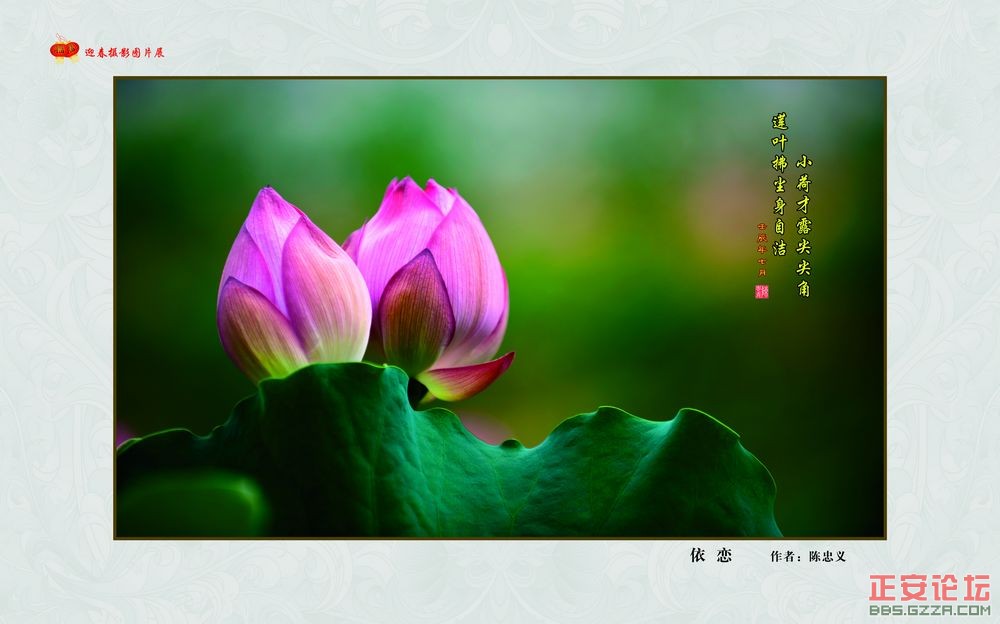 迎春摄影图片展插图32