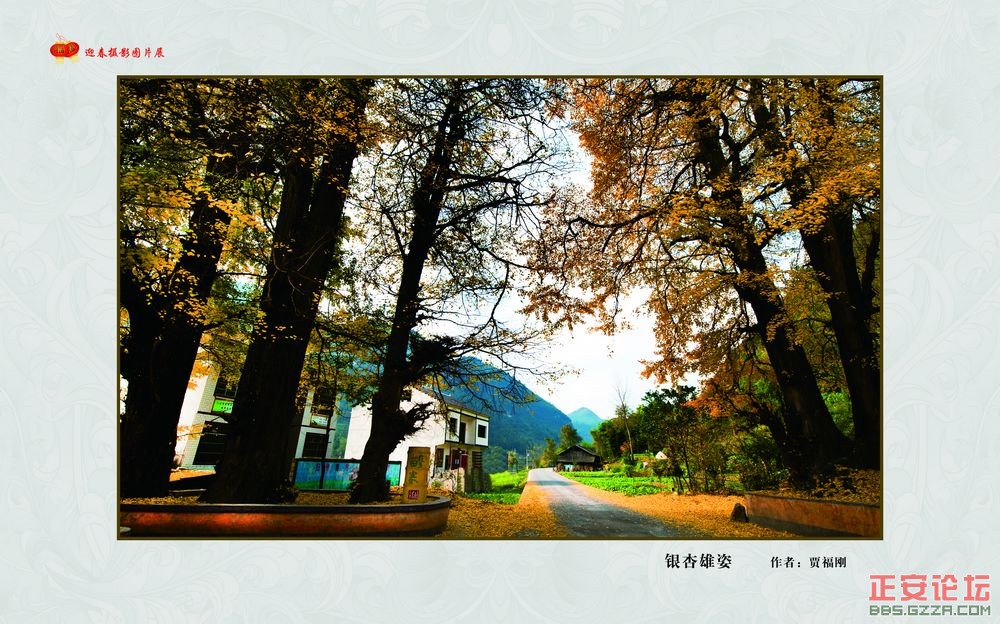 迎春摄影图片展插图31