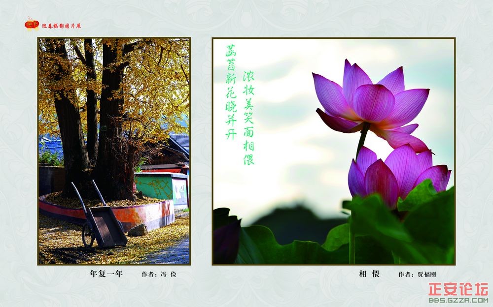 迎春摄影图片展插图42