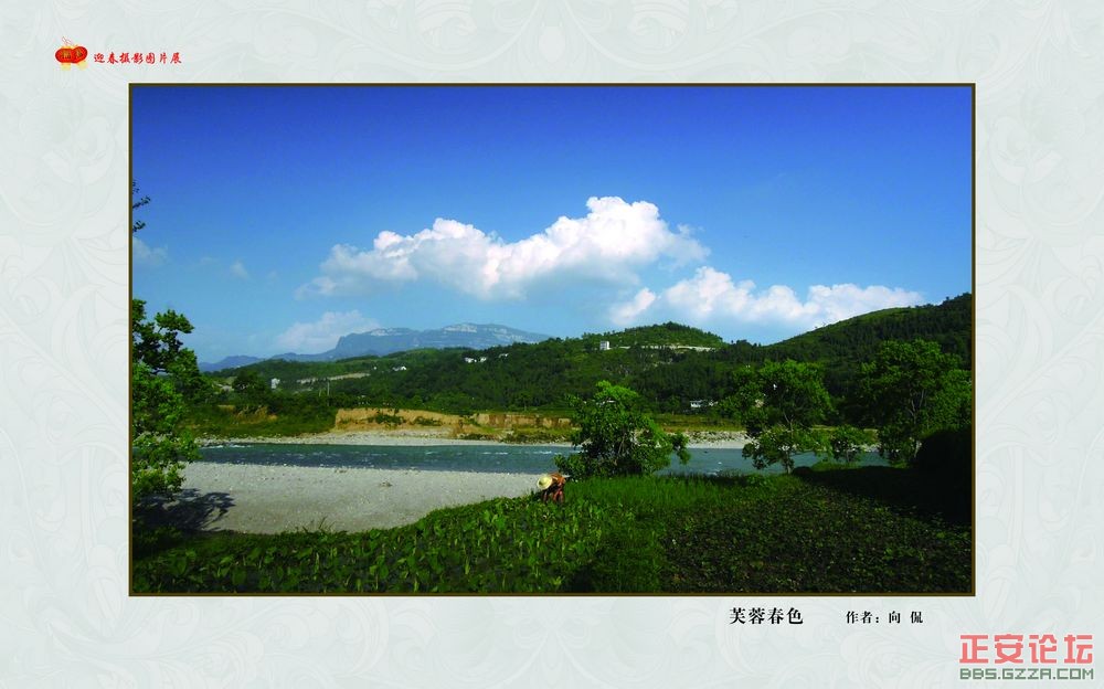 迎春摄影图片展插图56