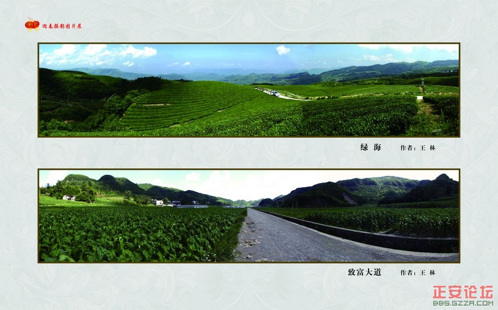 迎春摄影图片展插图57