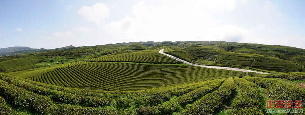 全景图 3_副本.jpg