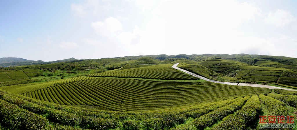 全景图 2_副本.jpg