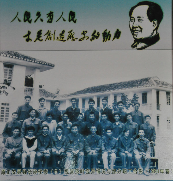 我们要回家：残存的知青部落插图4