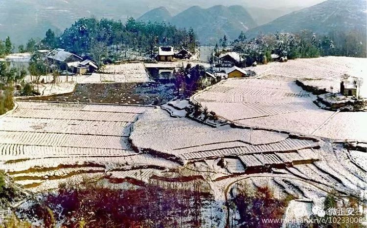 90年代正安雪景，满满的全是回忆…..插图1