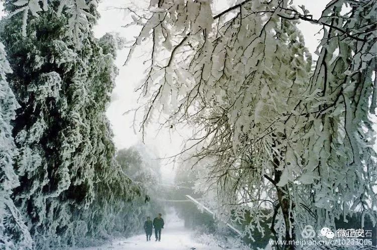 90年代正安雪景，满满的全是回忆…..插图6