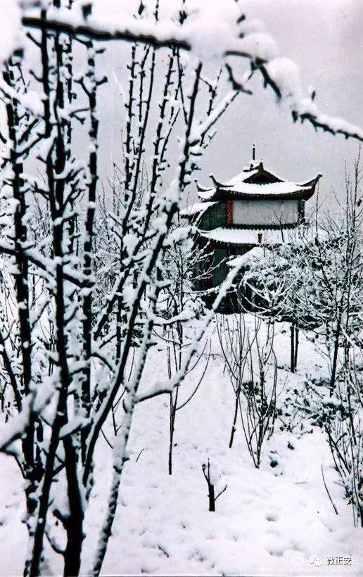 90年代正安雪景，满满的全是回忆…..插图17