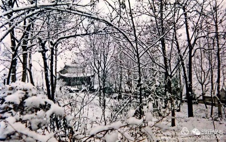 90年代正安雪景，满满的全是回忆…..插图20