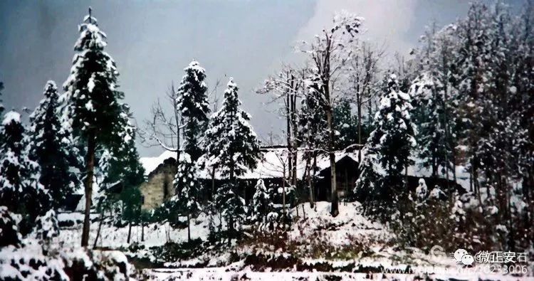 90年代正安雪景，满满的全是回忆…..插图25