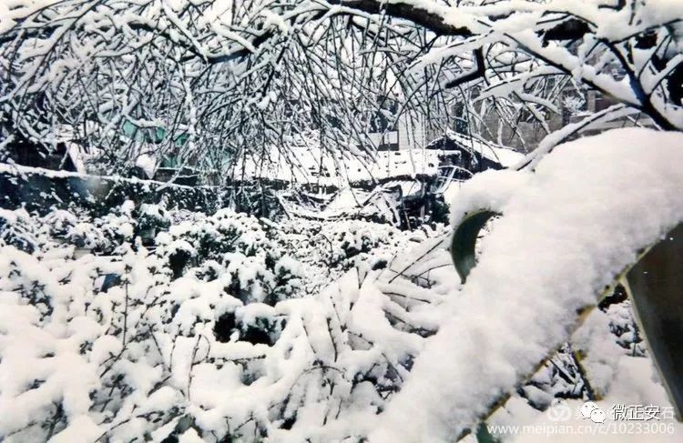 90年代正安雪景，满满的全是回忆…..插图27