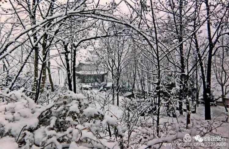 90年代正安雪景，满满的全是回忆…..插图30