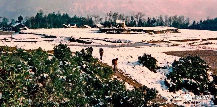 90年代正安雪景，满满的全是回忆…..插图29