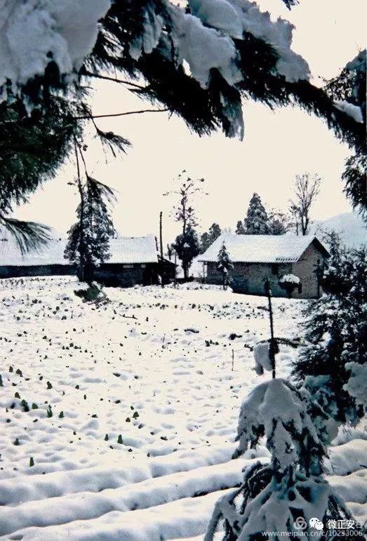 90年代正安雪景，满满的全是回忆…..插图33
