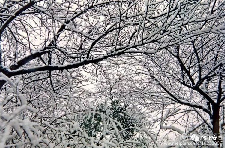 90年代正安雪景，满满的全是回忆…..插图32