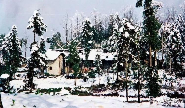 90年代正安雪景，满满的全是回忆…..插图34