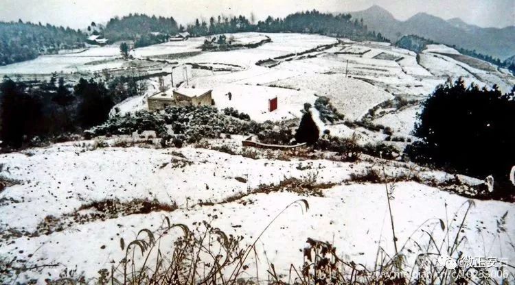 90年代正安雪景，满满的全是回忆…..插图36