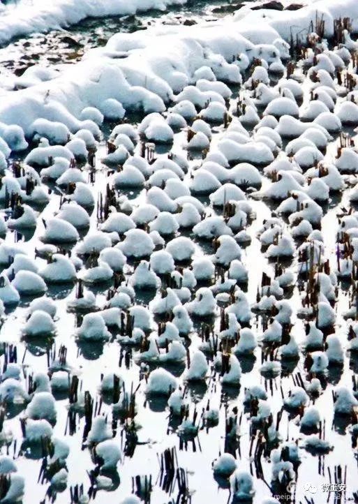90年代正安雪景，满满的全是回忆…..插图35