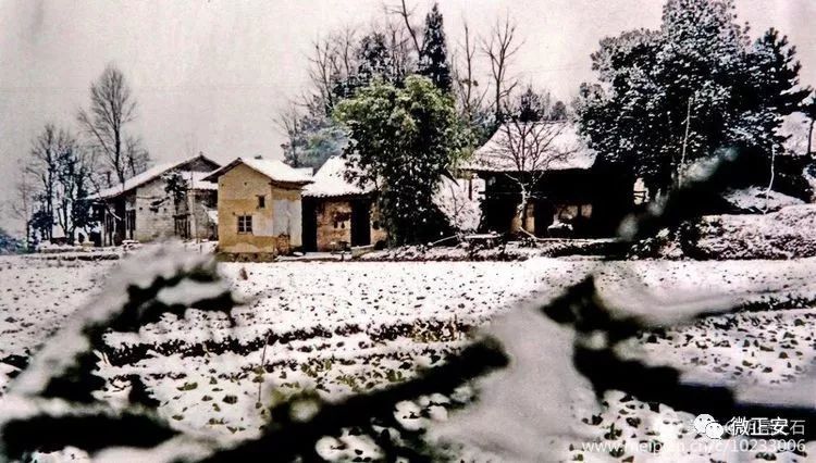 90年代正安雪景，满满的全是回忆…..插图39