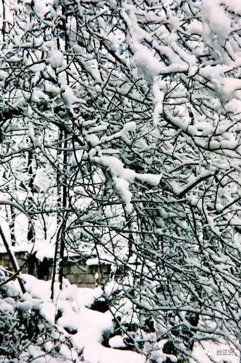 90年代正安雪景，满满的全是回忆…..插图40